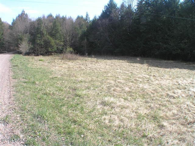 Maple Road Susquehanna, PA 18847 - Photo 5 of 9