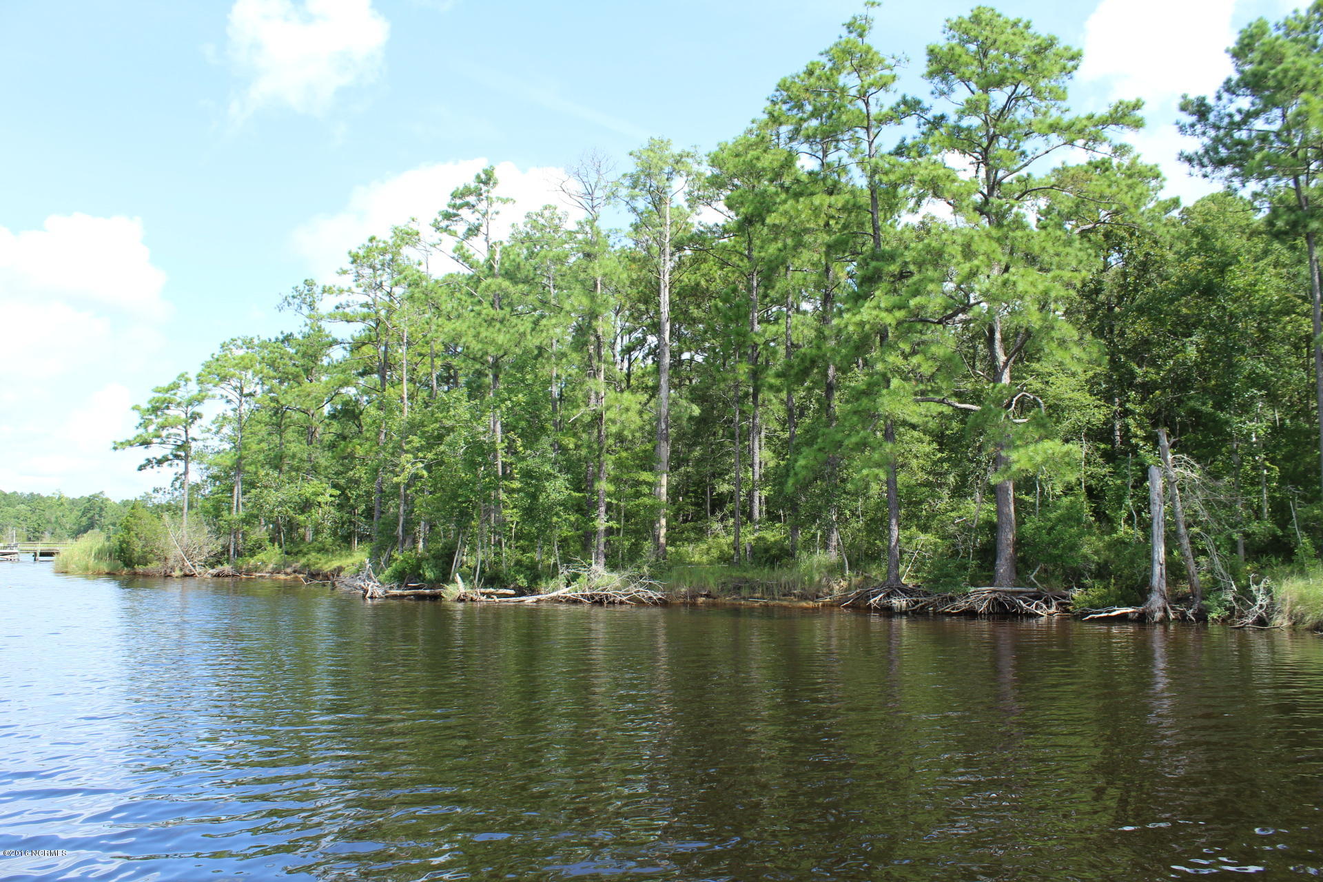 100 Canvasback Road Bayboro, NC 28515 - Photo 3 of 8 Over 300 ft shoreline