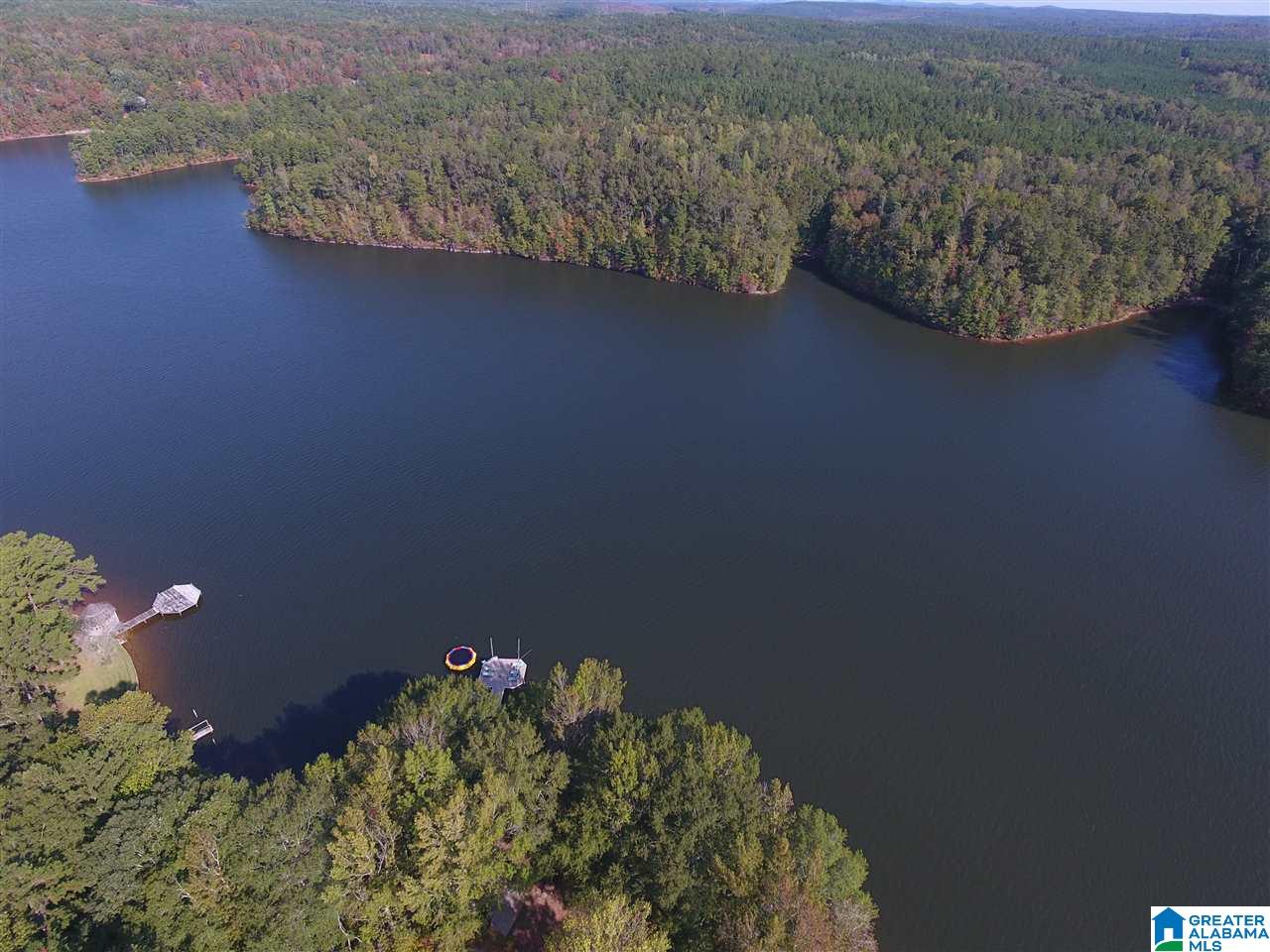 357 Florence Road Wedowee, AL 36278 - Photo 40 of 42