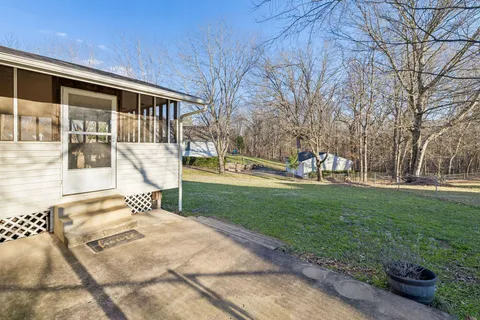 a view of a backyard with large tree