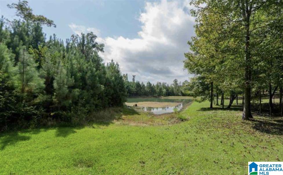 114 Pump House Road Odenville, AL 35120 - Photo 31 of 34