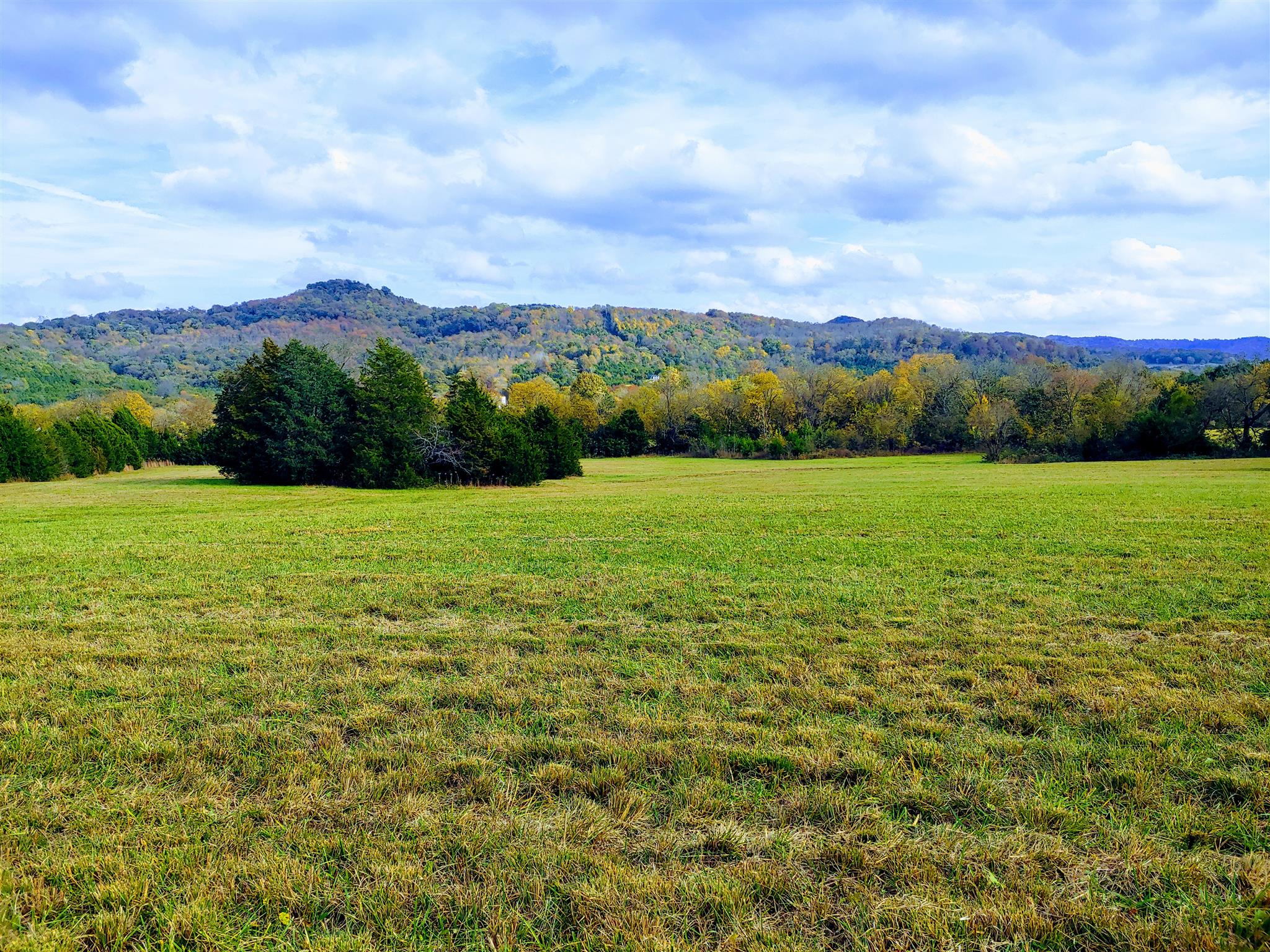 1235 Cunningham Road Readyville, TN 37149 - Photo 1 of 30 a view of grassy field with mountain