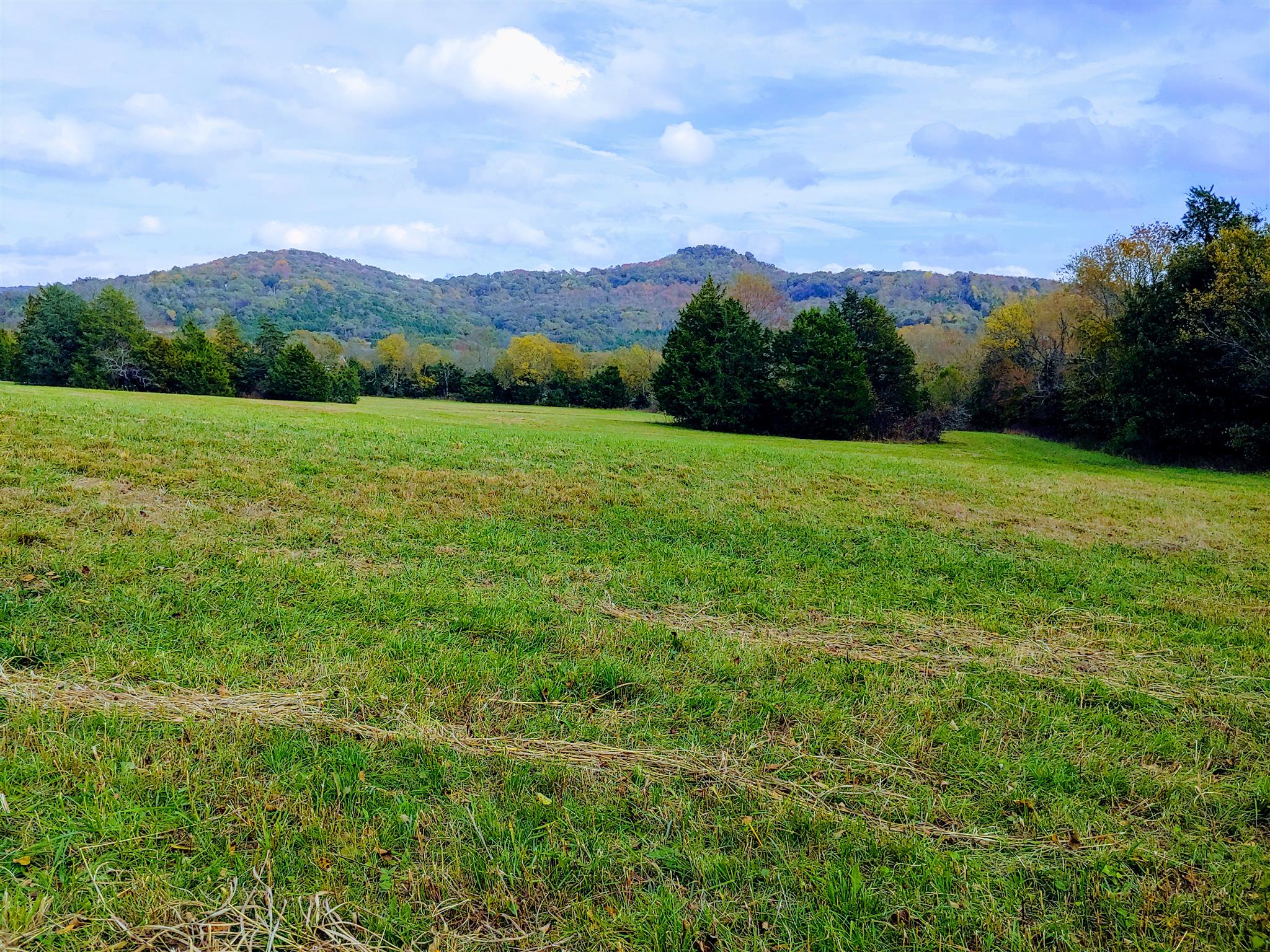 1235 Cunningham Road Readyville, TN 37149 - Photo 2 of 30 a view of an outdoor space and a yard