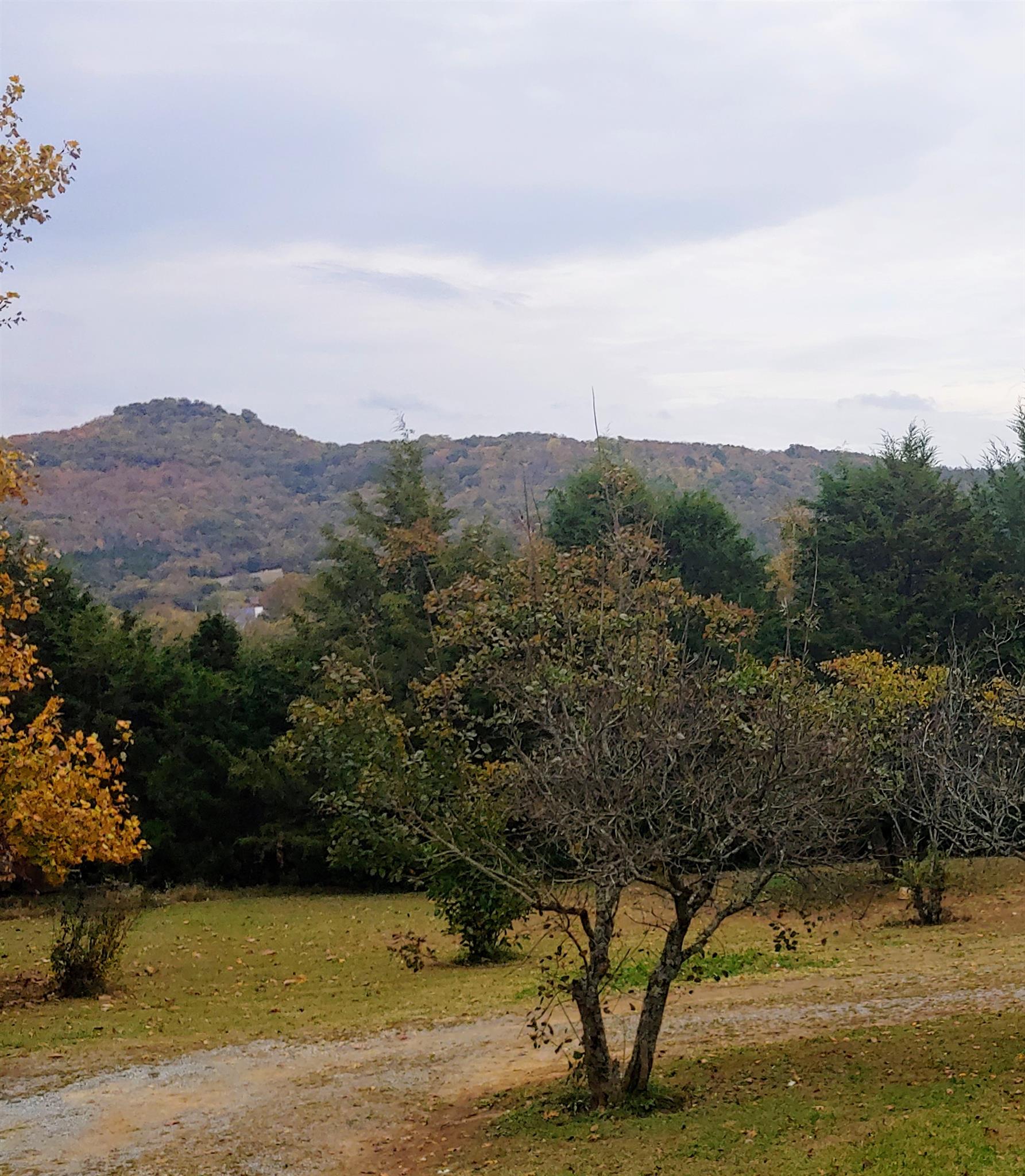 1235 Cunningham Road Readyville, TN 37149 - Photo 25 of 30 a view of lake view and mountain view