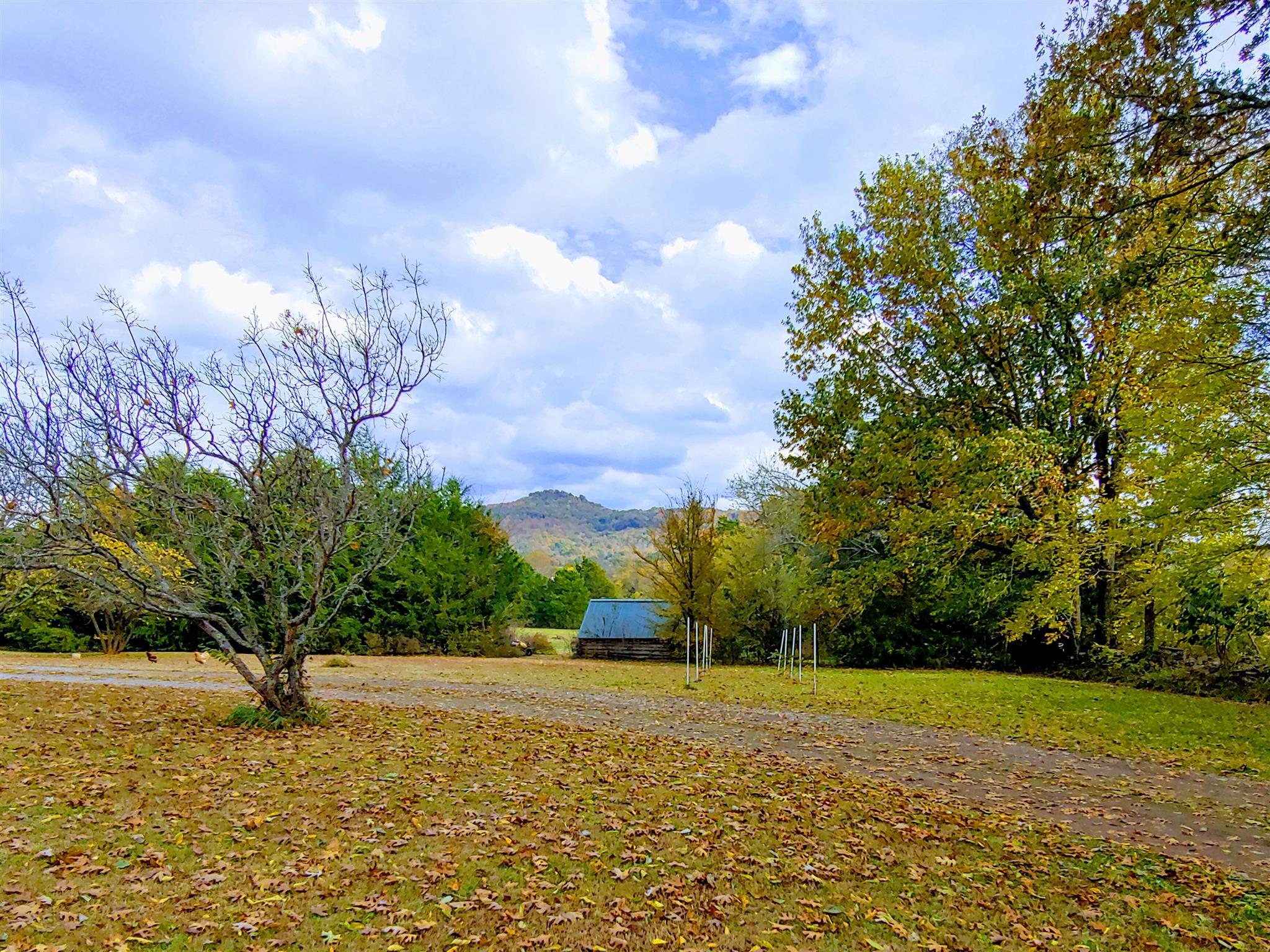 1235 Cunningham Road Readyville, TN 37149 - Photo 4 of 30 a view of a yard with an trees