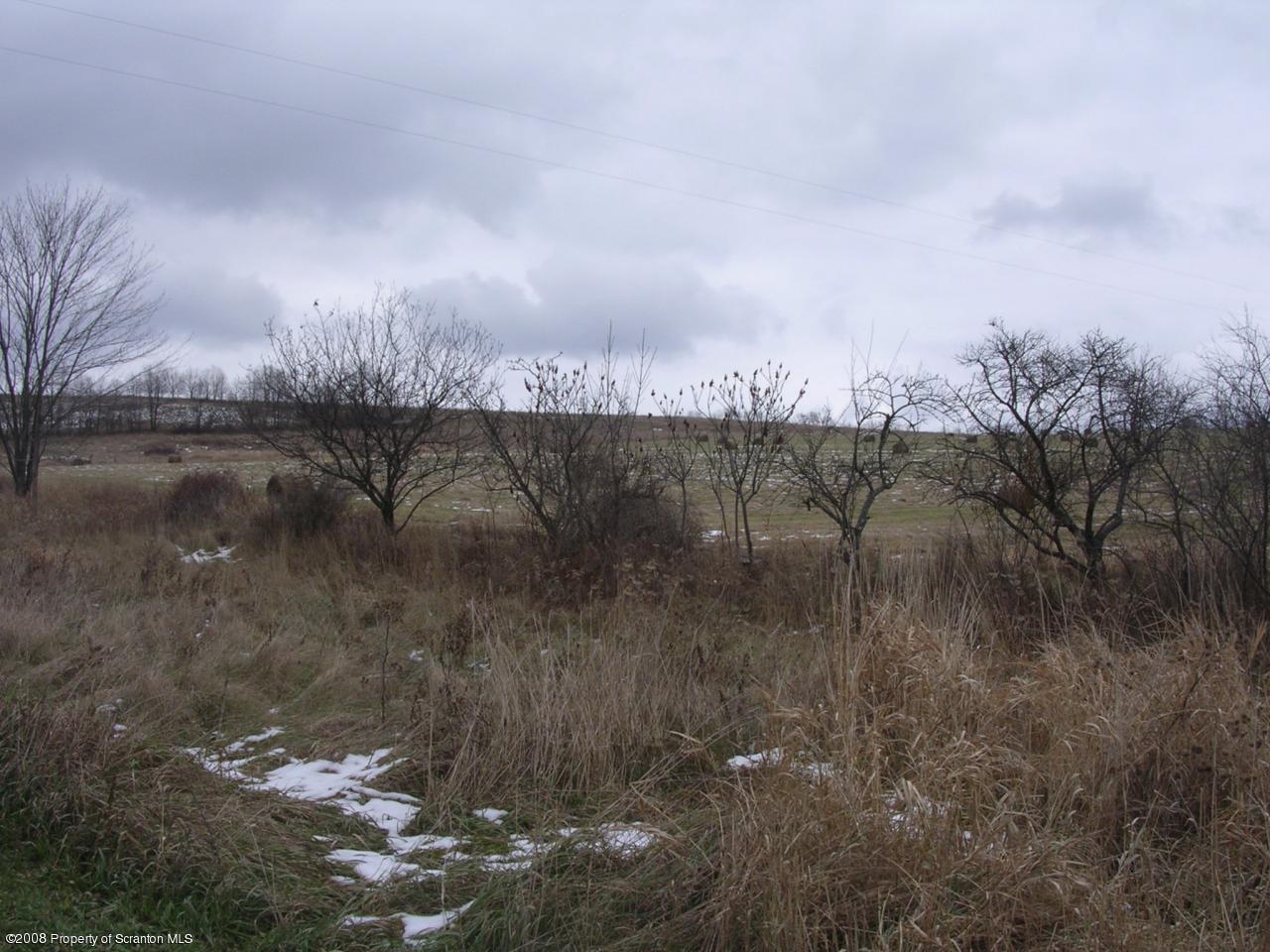 3 Rr Meshoppen, PA 18630 - Photo 6 of 6 a view of a lake in middle of forest