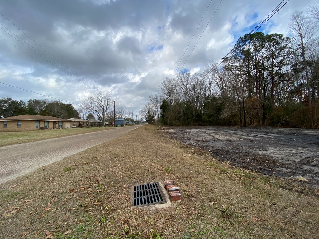 0 South Broad Street Samson, AL 36477 - Photo 8 of 10