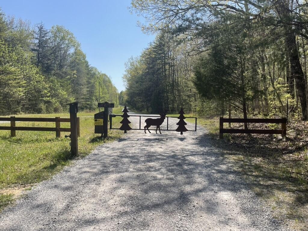 60 Hideaway Cabin Road Altamont, TN 37301 - Photo 22 of 31 Gallery Image 22