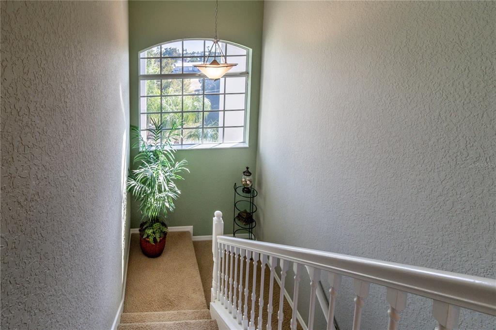 5100 Cedarbrook Lane Hernando Beach, FL 34607 - Photo 44 of 63