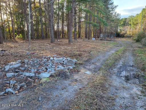 Lot 6 Minor Run Road Edward, NC 27821 - Photo 1 of 14 20241214_151246