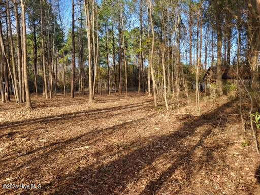 Lot 6 Minor Run Road Edward, NC 27821 - Photo 11 of 14 20241214_150309