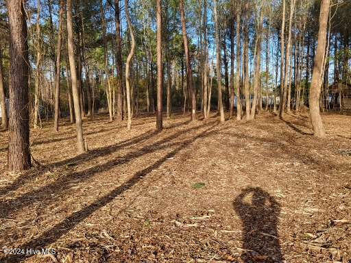 Lot 6 Minor Run Road Edward, NC 27821 - Photo 12 of 14 20241214_150226