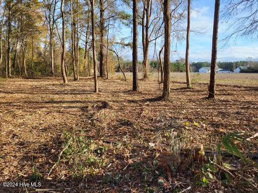 Lot 6 Minor Run Road Edward, NC 27821 - Photo 13 of 14 20241214_145937