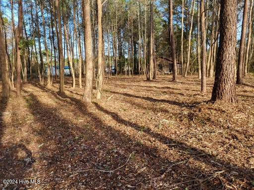 Lot 6 Minor Run Road Edward, NC 27821 - Photo 14 of 14 20241214_145933