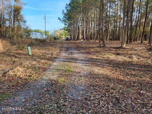 Lot 6 Minor Run Road Edward, NC 27821 - Photo 3 of 14 20241214_145727