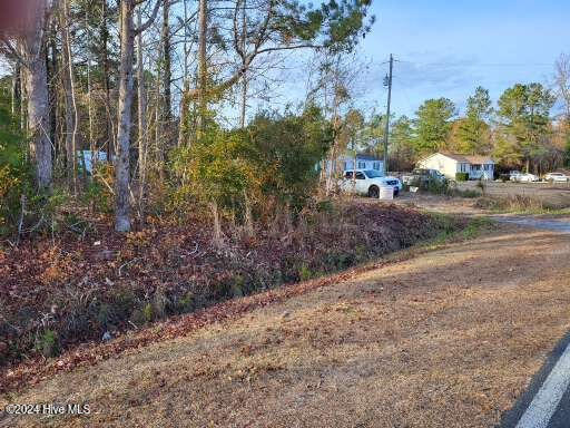 Lot 6 Minor Run Road Edward, NC 27821 - Photo 4 of 14 20241214_151818