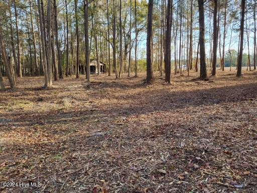 Lot 6 Minor Run Road Edward, NC 27821 - Photo 5 of 14 20241214_145720