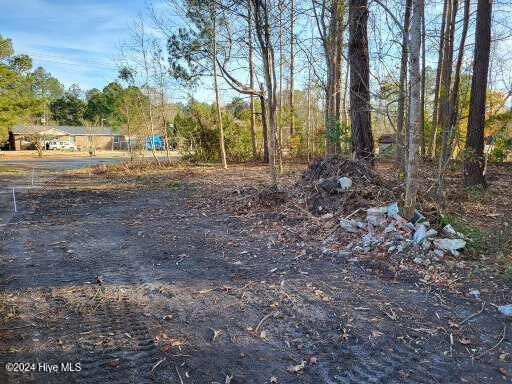 Lot 6 Minor Run Road Edward, NC 27821 - Photo 7 of 14 20241214_151257