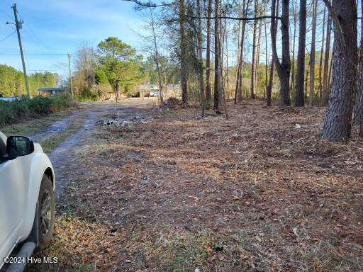 Lot 6 Minor Run Road Edward, NC 27821 - Photo 8 of 14 20241214_151114