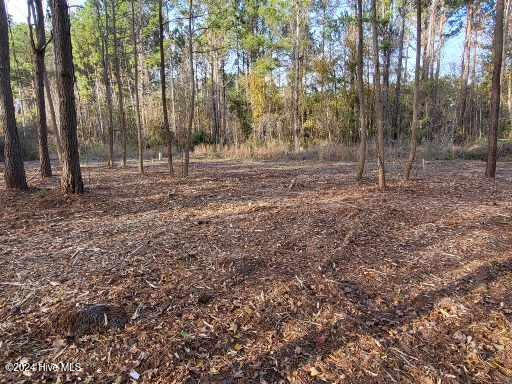 Lot 6 Minor Run Road Edward, NC 27821 - Photo 9 of 14 20241214_150500