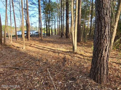 Lot 6 Minor Run Road Edward, NC 27821 - Photo 10 of 14 20241214_150453