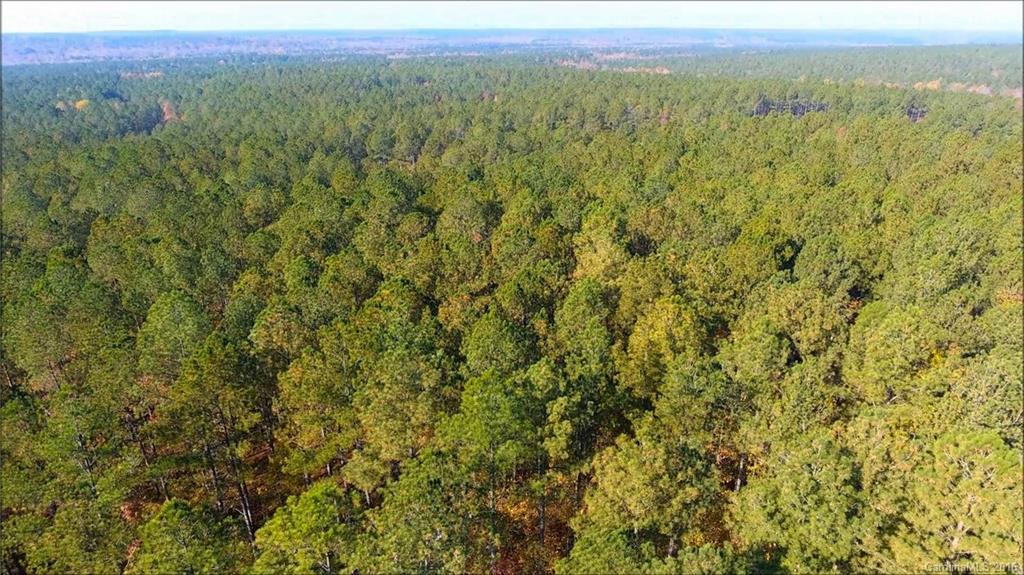 4054 Persimmon Road, Unit 44 Lancaster, SC 29720 - Photo 8 of 22 Gallery Image 8