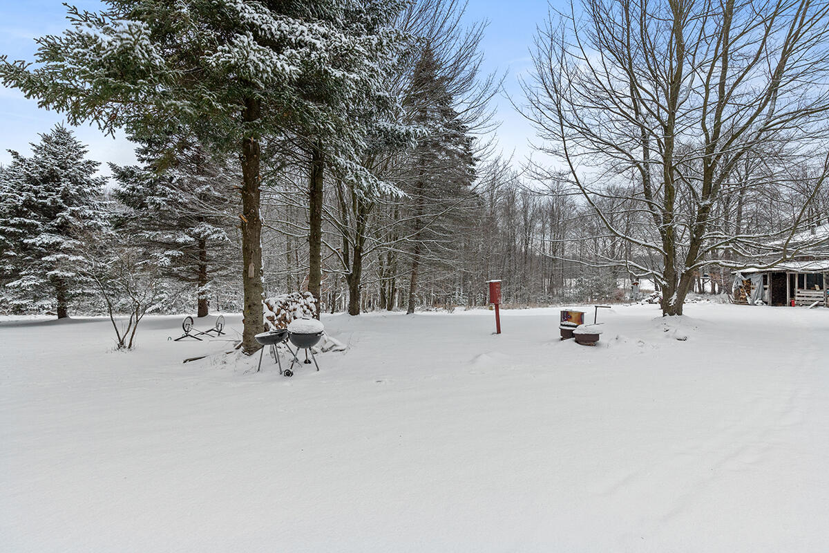 11224 East 8th Street Reed City, MI 49677 - Photo 18 of 20 IMG_1017