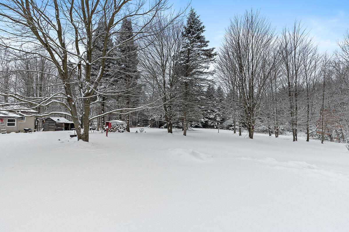 11224 East 8th Street Reed City, MI 49677 - Photo 20 of 20 IMG_1019