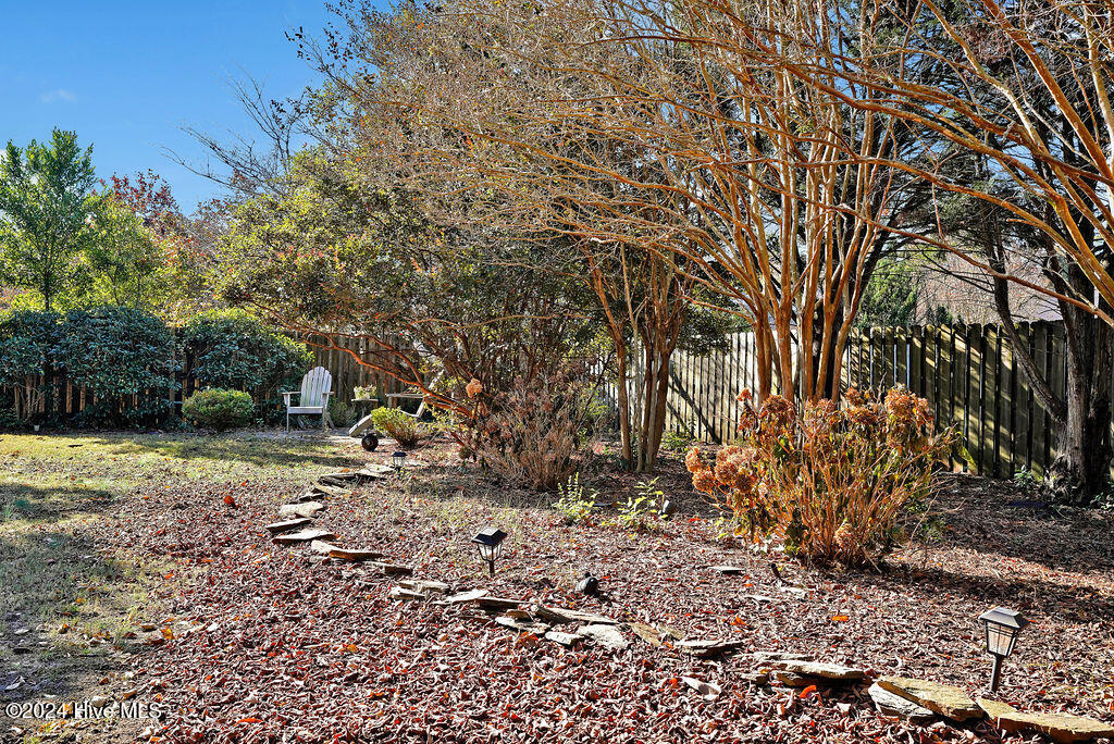 159 Emerald Ridge Drive Hampstead, NC 28443 - Photo 37 of 39 159EmeraldRidgeDrive-34