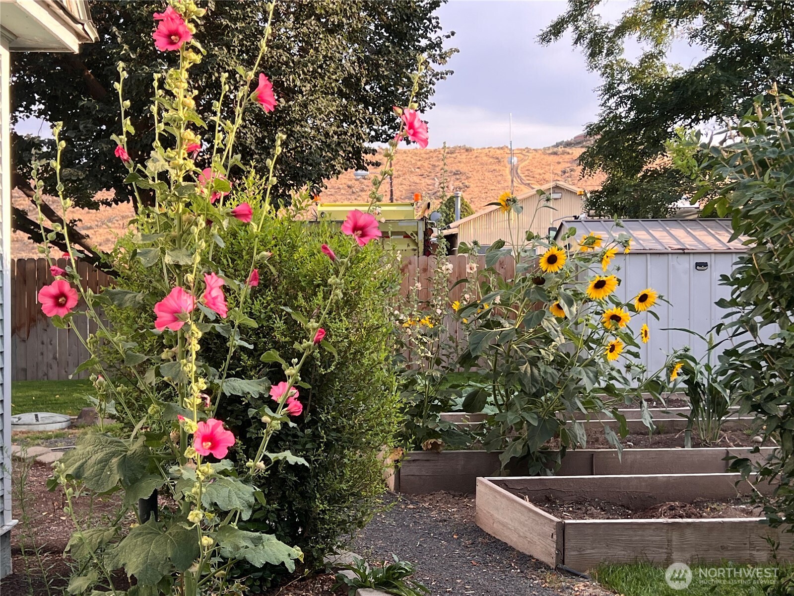 514 South Division Street Odessa, WA 99159 - Photo 34 of 40 a view of a potted plants in front of house