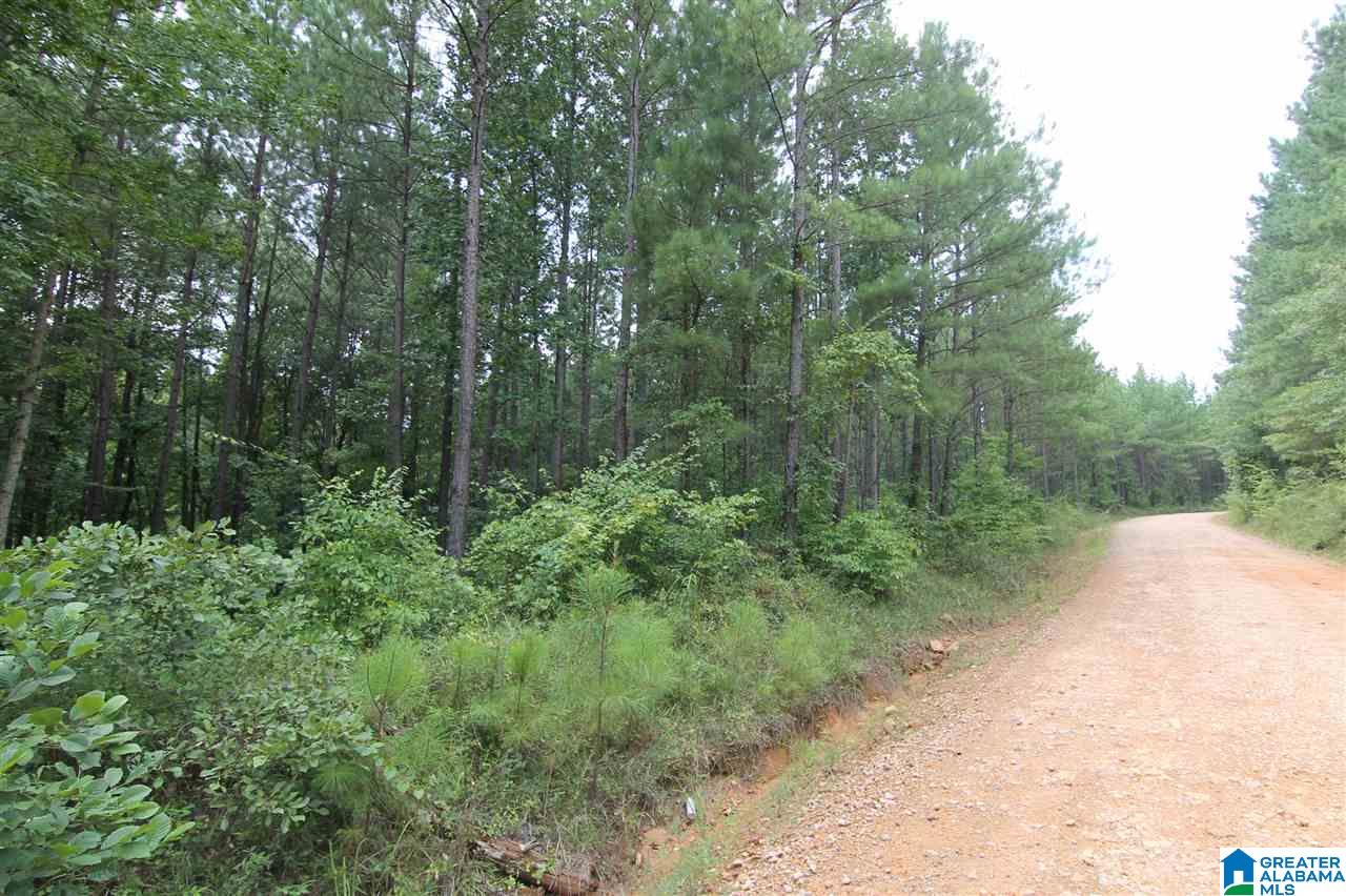 636 County Road, Unit 92 Roanoke, AL 36274 - Photo 3 of 11