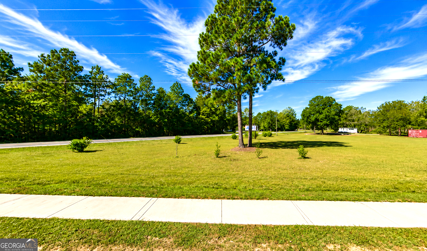 1147 Poor Robin Road Baxley, GA 31513 - Photo 12 of 17
