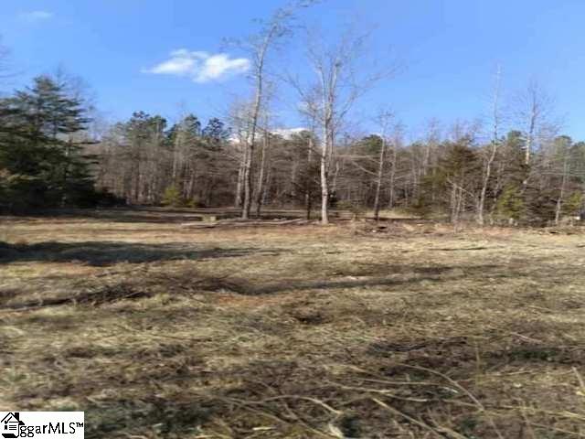 Mt Tabor Church Road Pickens, SC 29671 - Photo 1 of 5