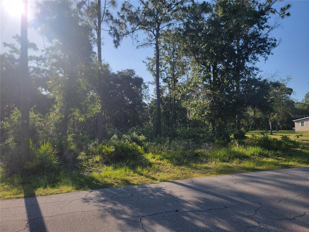 2075 South Colonial Avenue Homosassa, FL 34448 - Photo 3 of 5