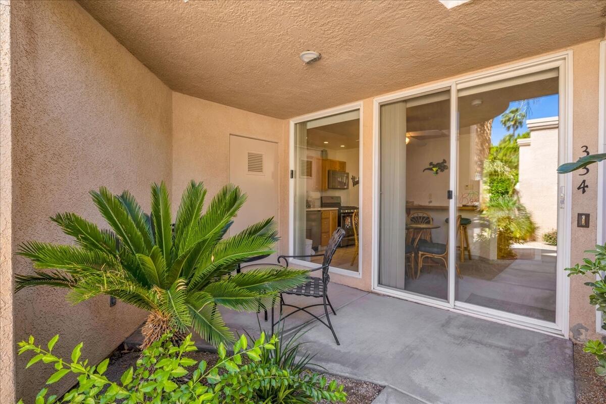 1555 North Chaparral Road, Unit 334 Palm Springs, CA 92262 - Photo 23 of 36 a potted plant in front of a door