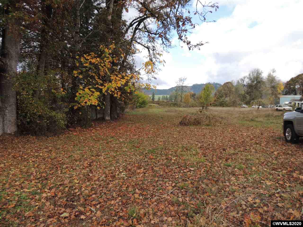 Long Street Sweet Home, OR 97386 - Photo 10 of 21