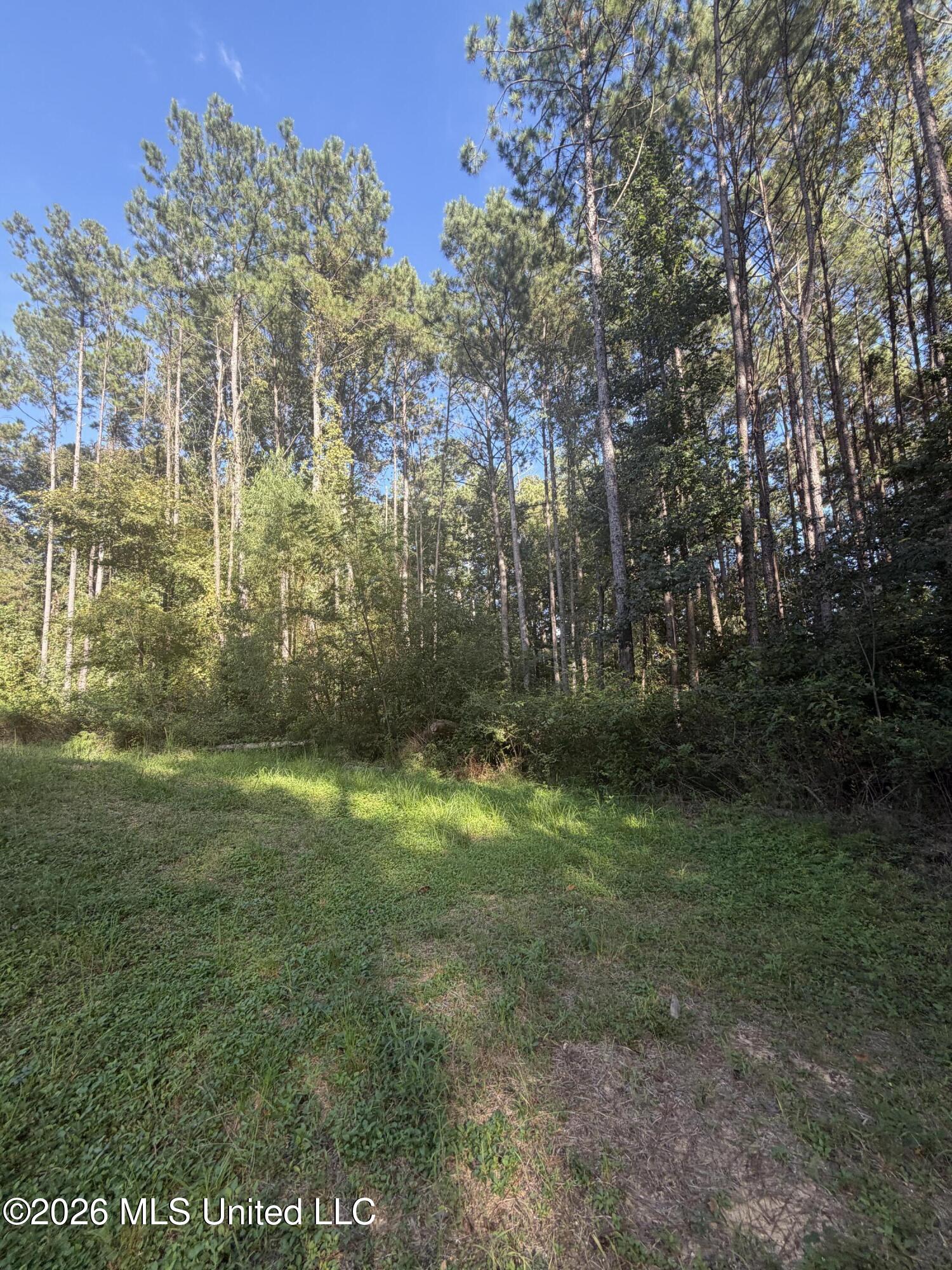 5172 Rockport Road Wesson, MS 39191 - Photo 8 of 23 IMG_4298