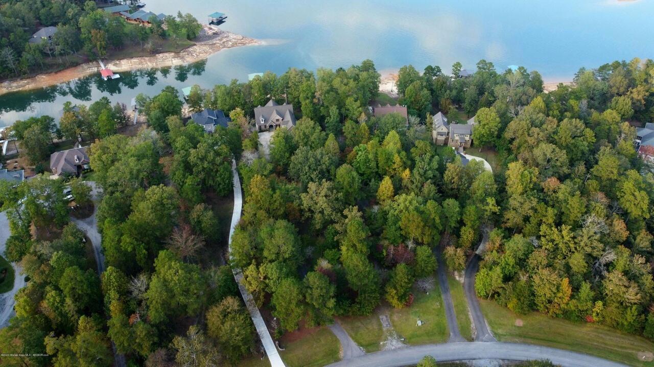 48 Stoney Point Road North Double Springs, AL 35553 - Photo 9 of 24 Gallery Image 9