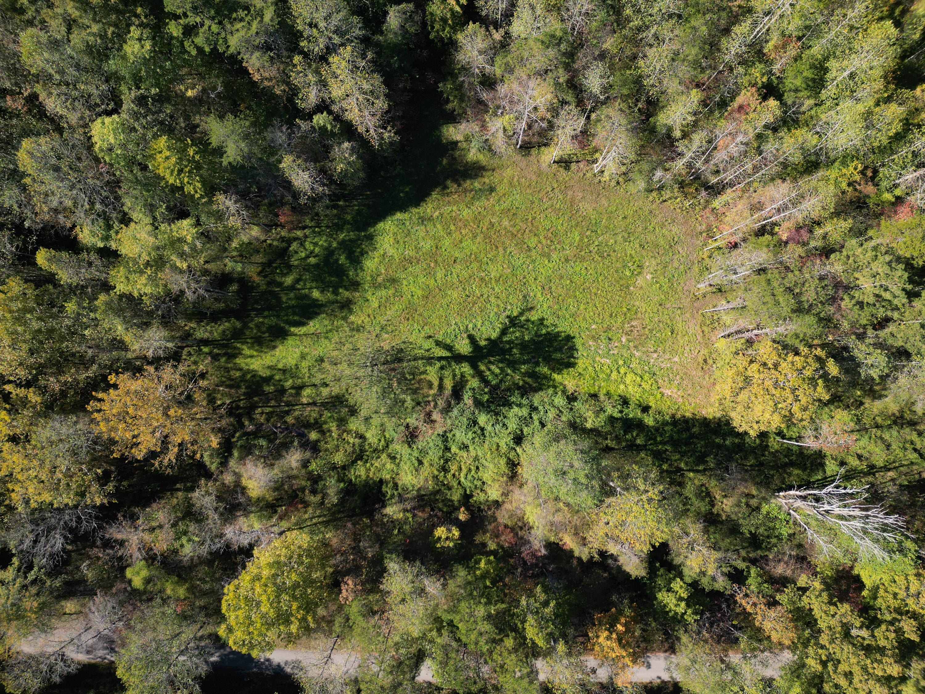 9999 Reed Branch Road Manchester, KY 40962 - Photo 38 of 48 DJI_0813