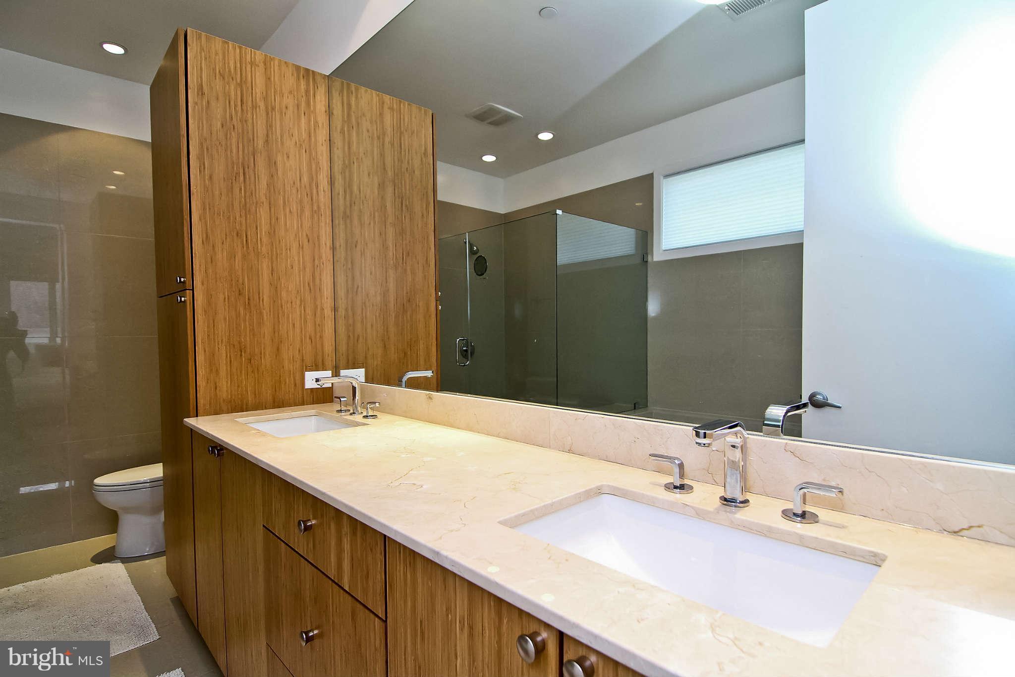 5610 Warwick Place Chevy Chase, MD 20815 - Photo 16 of 30 Impressive master bath