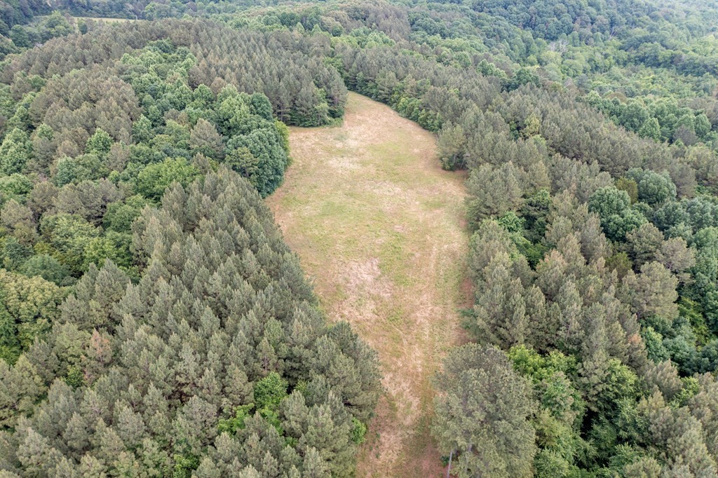 1 State Highway Calhoun, TN 37309 - Photo 7 of 20