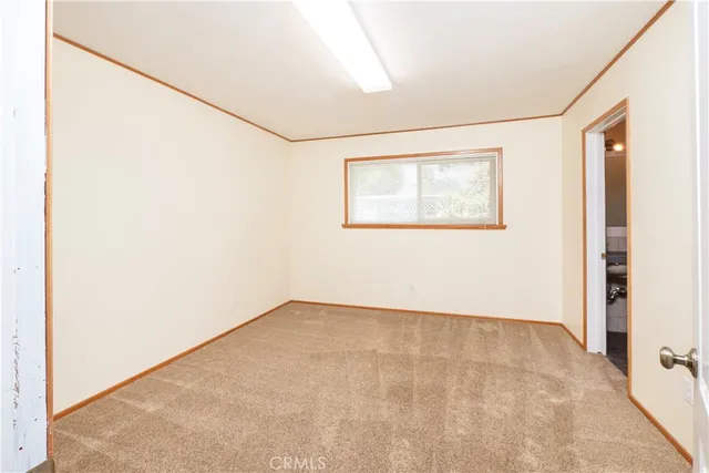 a backyard of a house with plants and trees