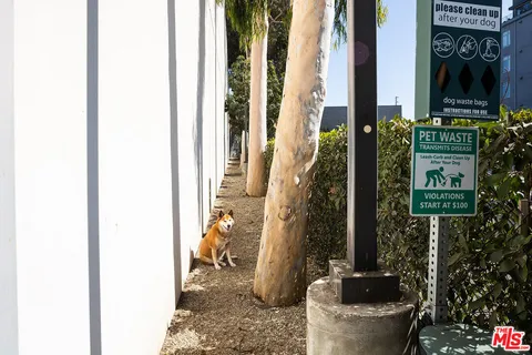 a bathroom with a potted plant and a sign