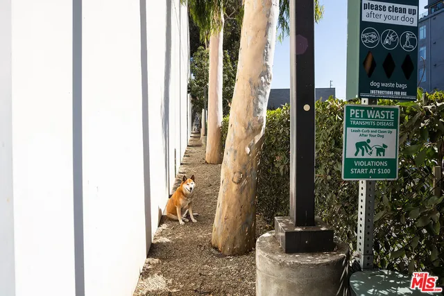 a bathroom with a potted plant and a sign