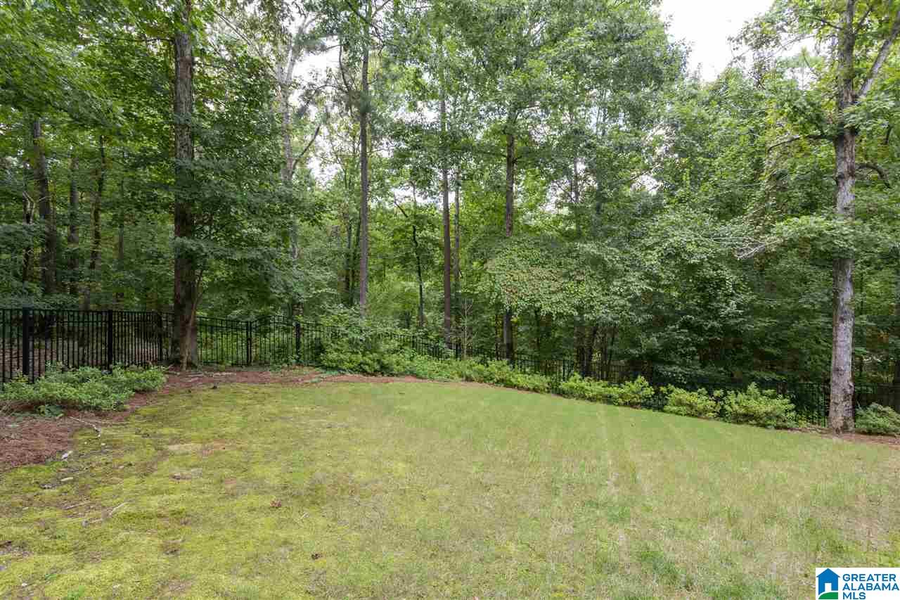 277 Normandy Lane Chelsea, AL 35043 - Photo 9 of 50