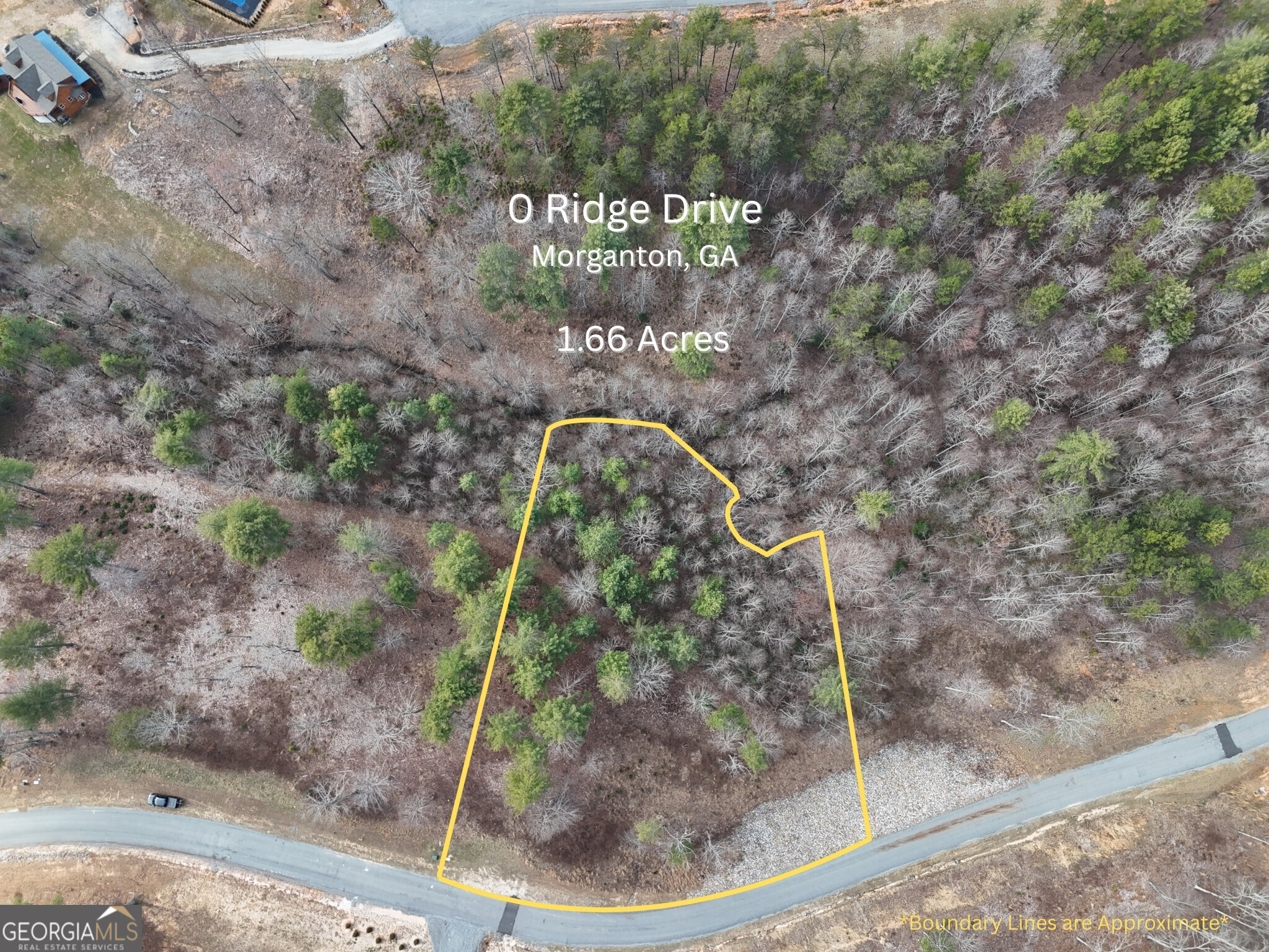 0 Ridge Drive Morganton, GA 30560 - Photo 1 of 1 Gallery Image 1