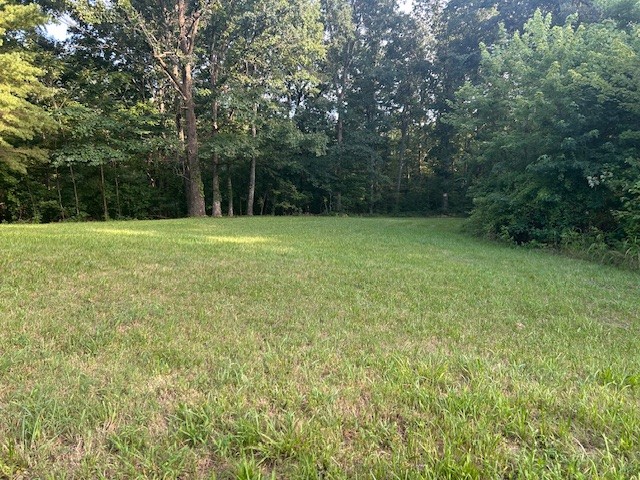 0 Mockingbird Hill Road Palmyra, TN 37142 - Photo 1 of 5 a view of outdoor space and yard
