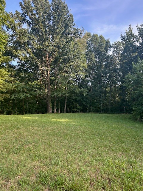 0 Mockingbird Hill Road Palmyra, TN 37142 - Photo 2 of 5 a view of a field with a trees in the background