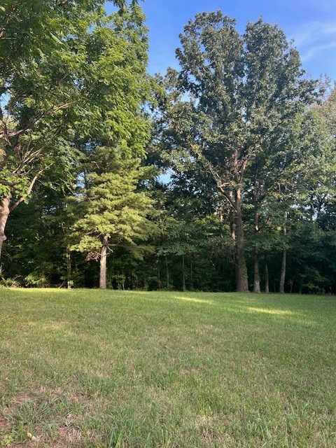0 Mockingbird Hill Road Palmyra, TN 37142 - Photo 3 of 5 a view of green field with trees