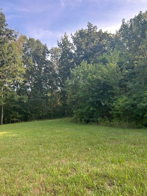 0 Mockingbird Hill Road Palmyra, TN 37142 - Photo 4 of 5 a view of a green yard